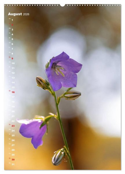 Produktbild: Colors of Nature (Wandkalender 2026 DIN A2 hoch), CALVENDO Monatskalender