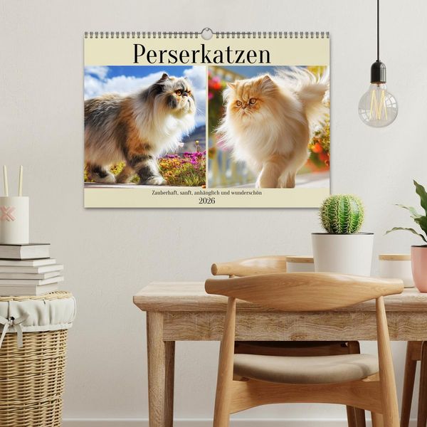 Produktbild: Perserkatzen. Zauberhaft, sanft, anh&auml;nglich und wundersch&ouml;n (Wandkalender 2026 DIN A3 quer), CALVENDO Monatskalender