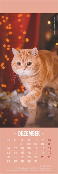 Produktbild: Katzen Lesezeichen & Kalender 2027