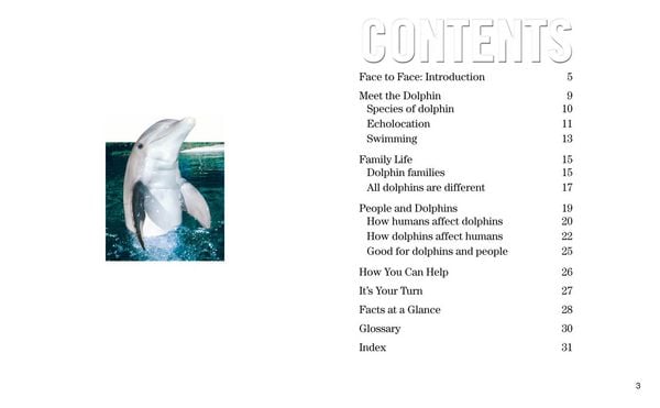 Produktbild: Face to Face with Dolphins