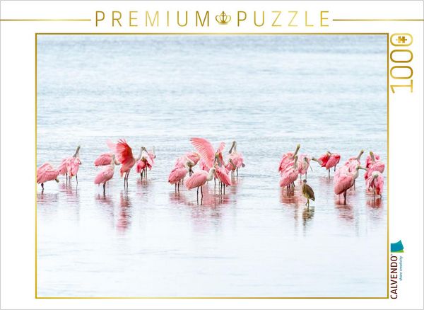 CALVENDO Puzzle Rosalöffler in Florida | 1000 Teile Lege-Größe 64x48cm Foto-Puzzle für glückliche Stunden