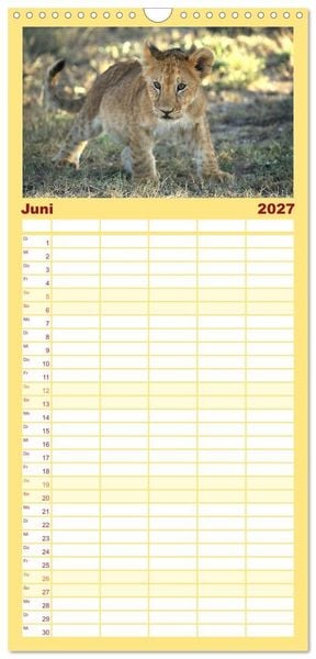 Produktbild: Familienplaner 2027 - Wildes Kinderzimmer - Tierkinder in Afrika mit 5 Spalten (Wandkalender, 21 x 45 cm) CALVENDO