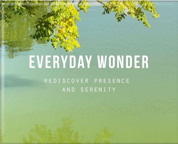 Produktbild: Everyday Wonder