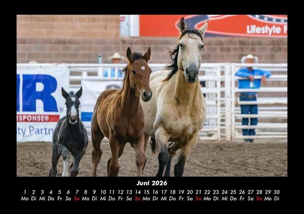 Produktbild: Die Welt der Pferde 2026 Fotokalender DIN A3