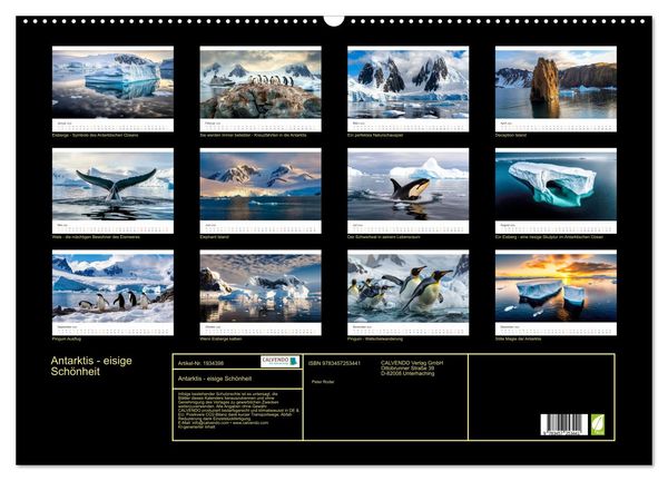 Produktbild: Antarktis - eisige Sch&ouml;nheit (Wandkalender 2026 DIN A2 quer), CALVENDO Monatskalender