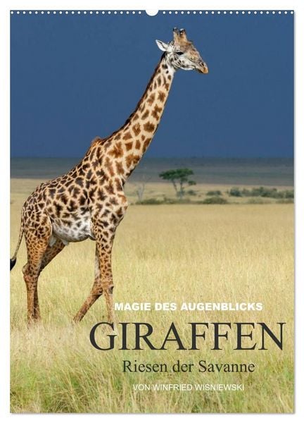 Produktbild: Magie des Augenblicks - Giraffen - Riesen der Savanne (Wandkalender 2027 DIN A2 hoch), CALVENDO Monatskalender