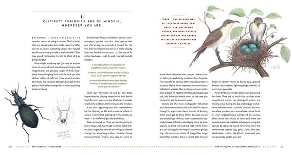 Produktbild: The Naturalist's Notebook