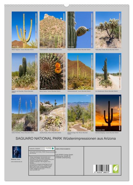 Produktbild: SAGUARO NATIONAL PARK W&uuml;stenimpressionen aus Arizona (hochwertiger Premium Wandkalender 2026 DIN A2 hoch), Kunstdruck in Hochglanz