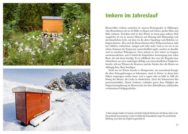 Produktbild: Imkern mit der Einraumbeute