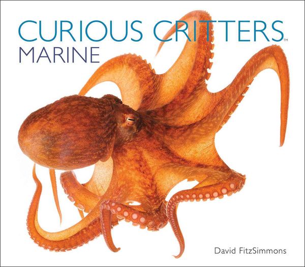 Produktbild: Curious Critters: Marine