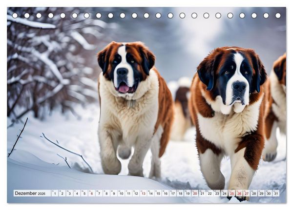 Produktbild: Gigant Bernhardiner (Tischkalender 2026 DIN A5 quer), CALVENDO Monatskalender