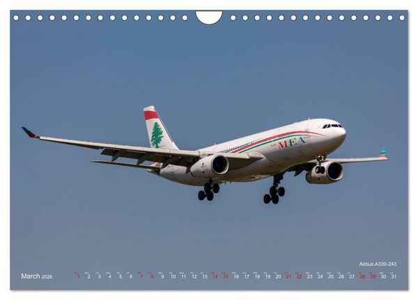 Produktbild: Airliners of the Middle East (Wall Calendar 2026 DIN A4 landscape), CALVENDO 12 Month Wall Calendar