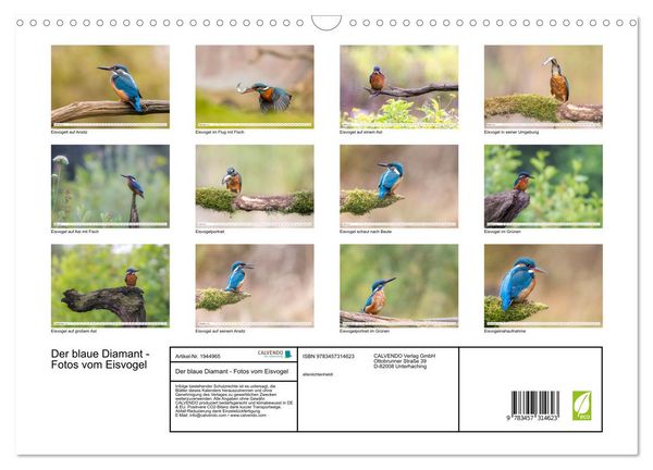 Produktbild: Der blaue Diamant - Fotos vom Eisvogel (Wandkalender 2026 DIN A3 quer), CALVENDO Monatskalender