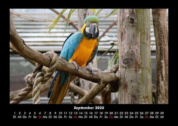 Produktbild: Welt der Tiere 2026 Fotokalender DIN A3