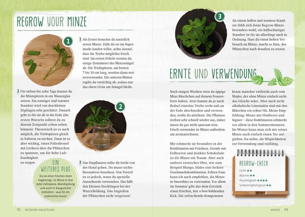 Produktbild: Regrow your veggies