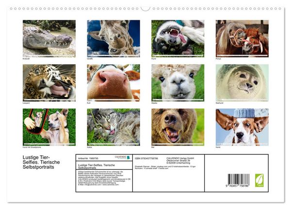 Produktbild: Lustige Tier-Selfies. Tierische Selbstportraits (hochwertiger Premium Wandkalender 2026 DIN A2 quer), Kunstdruck in Hochglanz