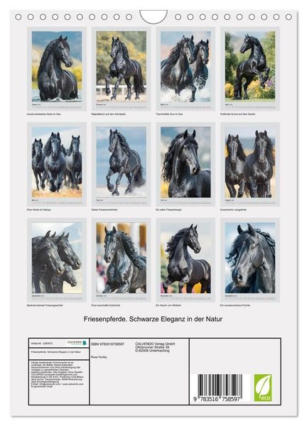 Produktbild: Friesenpferde. Schwarze Eleganz in der Natur (Wandkalender 2027 DIN A4 hoch), CALVENDO Monatskalender