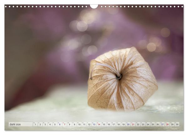 Produktbild: Kunstvolle Physalis-Kleine Frucht von gro&szlig;er Faszination (Wandkalender 2026 DIN A3 quer), CALVENDO Monatskalender
