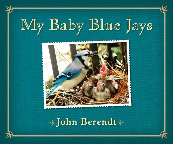Produktbild: My Baby Blue Jays