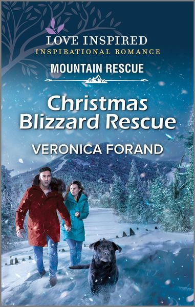 Produktbild: Christmas Blizzard Rescue