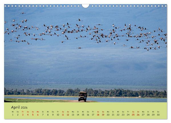 Produktbild: Gefiederte Sch&ouml;nheiten Ostafrikas (Wandkalender 2026 DIN A3 quer), CALVENDO Monatskalender