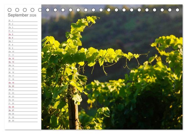 Produktbild: Wein (Tischkalender 2026 DIN A5 quer), CALVENDO Monatskalender