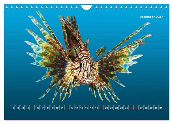 Produktbild: Unterwasser-Galerie (Wandkalender 2027 DIN A4 quer), CALVENDO Monatskalender