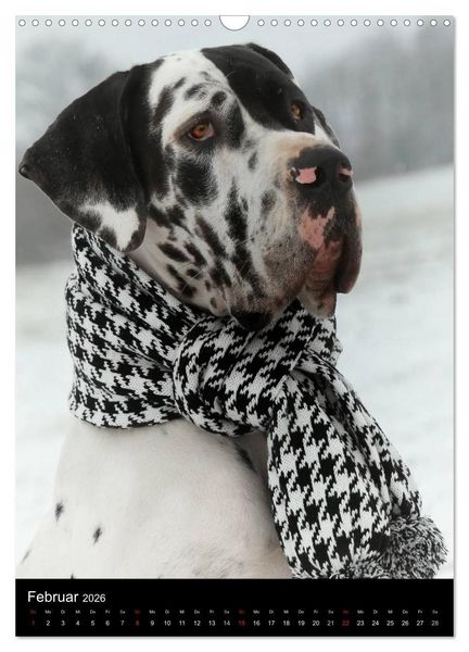 Produktbild: Faszination Deutsche Dogge (Wandkalender 2026 DIN A3 hoch), CALVENDO Monatskalender