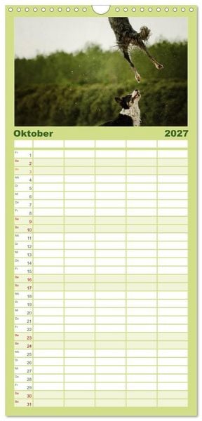 Produktbild: Familienplaner 2027 - Der Bordercollie-Kalender mit 5 Spalten (Wandkalender, 21 x 45 cm) CALVENDO
