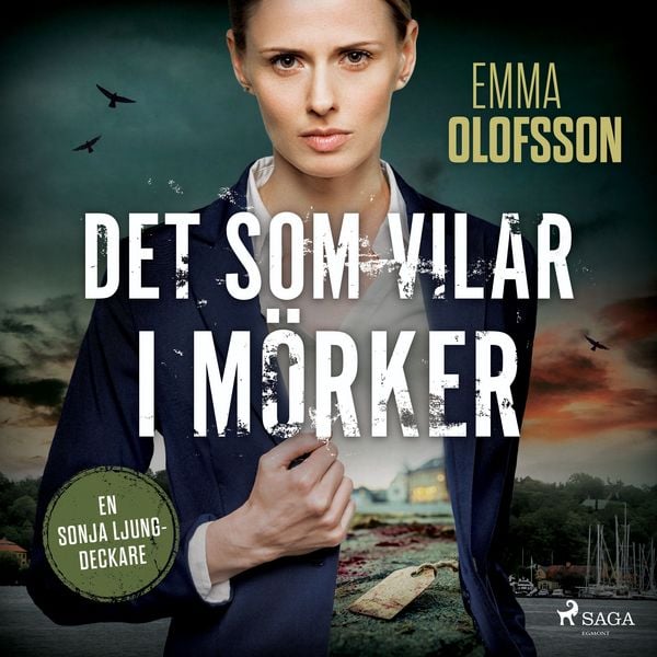 Produktbild: Det som vilar i m&ouml;rker
