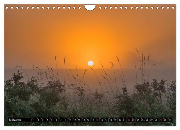 Produktbild: Immer wieder Sonnenschein (Wandkalender 2026 DIN A4 quer), CALVENDO Monatskalender