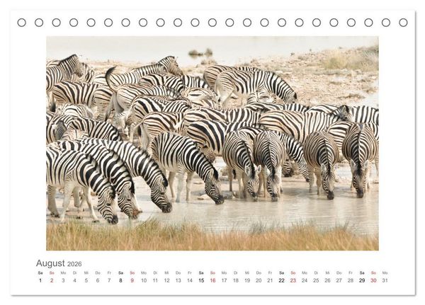 Produktbild: Namibia - unterwegs mit Julia Hahn (Tischkalender 2026 DIN A5 quer), CALVENDO Monatskalender