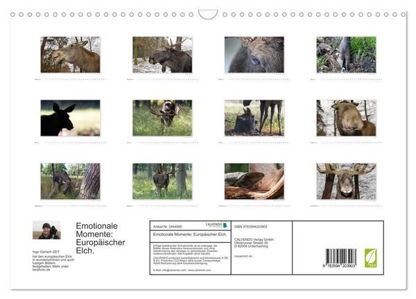 Produktbild: Emotionale Momente: Europ&auml;ischer Elch. (Wandkalender 2027 DIN A3 quer), CALVENDO Monatskalender