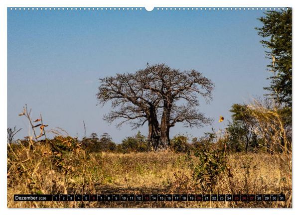 Produktbild: Sambia "Das wirkliche Afrika" (Wandkalender 2026 DIN A2 quer), CALVENDO Monatskalender