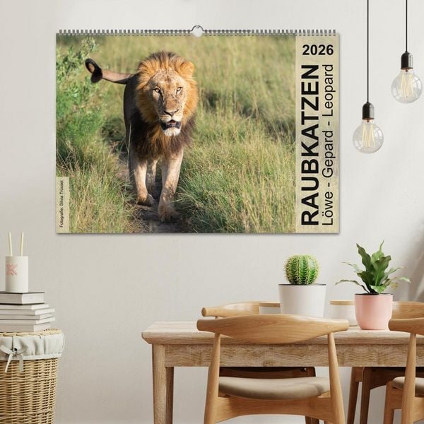 Produktbild: Raubkatzen - L&ouml;we, Gepard, Leopard (Wandkalender 2026 DIN A2 quer), CALVENDO Monatskalender