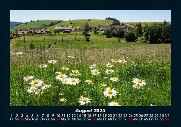 Produktbild: Blumenzauber 2025 Fotokalender DIN A5