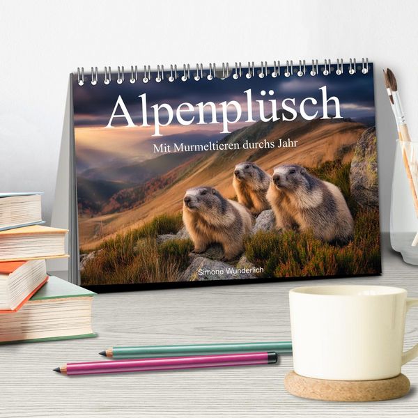 Produktbild: Alpenpl&uuml;sch - Mit Murmeltieren durchs Jahr (Tischkalender 2026 DIN A5 quer), CALVENDO Monatskalender