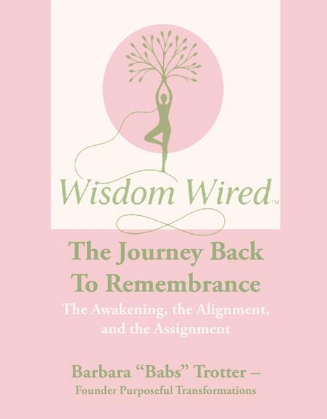 Produktbild: Wisdom Wired
