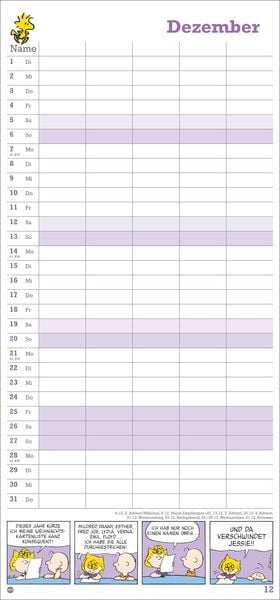 Produktbild: Peanuts Familienplaner 2026