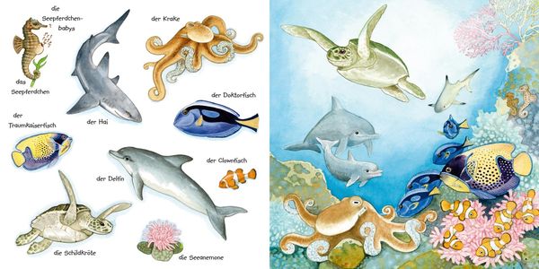 Produktbild: Mein kleines buntes Bildw&ouml;rterbuch: Tiere im und am Wasser