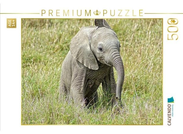 CALVENDO Puzzle Elefant.....kleiner Jumbo | 500 Teile Lege-Größe 48 × 36 cm Foto-Puzzle für Erwachsene