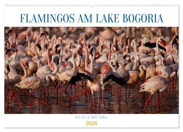 Produktbild: Flamingos am Lake Bogoria - Kenia (Wandkalender 2026 DIN A2 quer), CALVENDO Monatskalender