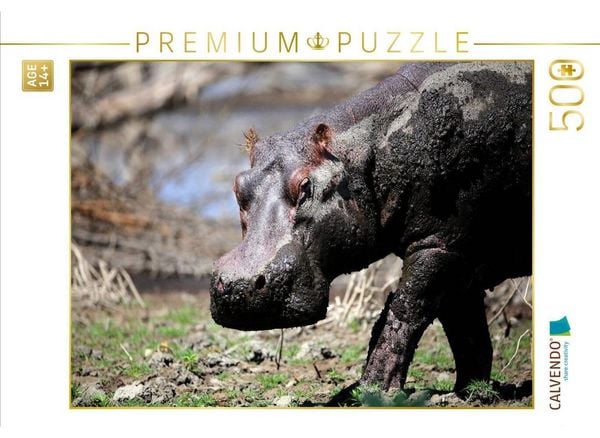 CALVENDO Puzzle Flusspferde - Nach dem Schlammbad | 500 Teile Lege-Größe 48 × 36 cm Foto-Puzzle für Erwachsene