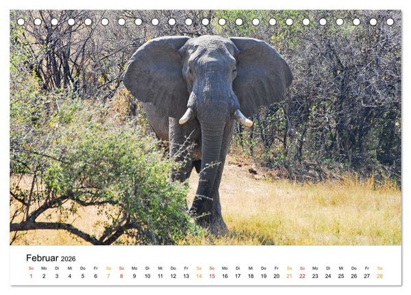 Produktbild: Elefanten Impressionen (Tischkalender 2026 DIN A5 quer), CALVENDO Monatskalender