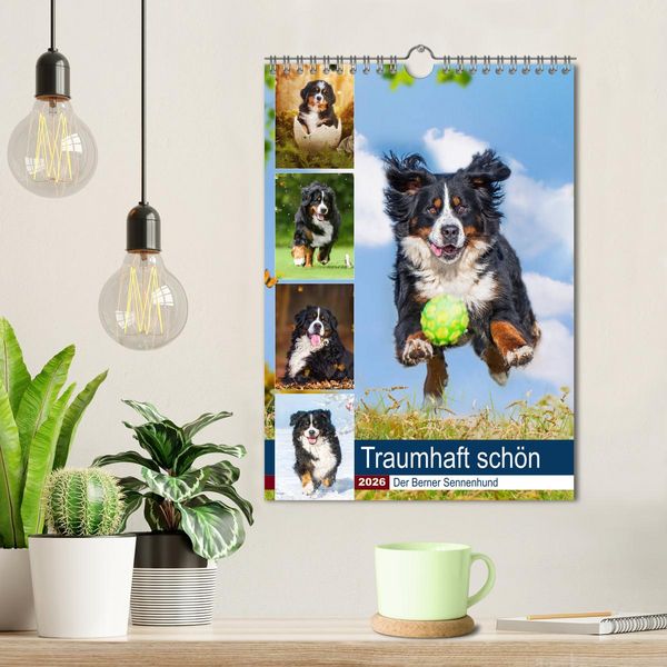 Produktbild: Traumhaft sch&ouml;n - Der Berner Sennenhund (Wandkalender 2026 DIN A4 hoch), CALVENDO Monatskalender