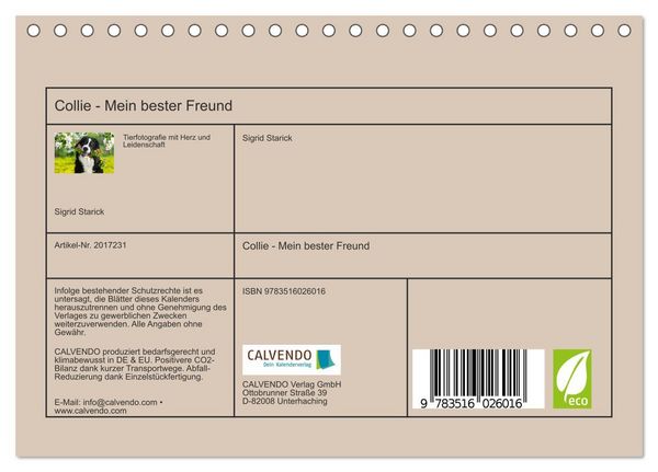 Produktbild: Collie - Mein bester Freund (Tischkalender 2026 DIN A5 quer), CALVENDO Monatskalender