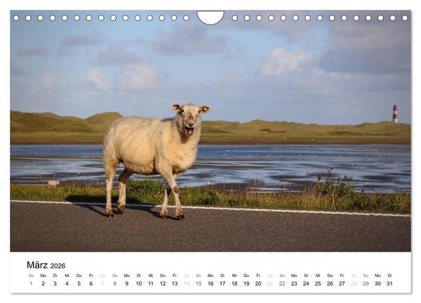 Produktbild: Sylt, der nordfriesische Inseltraum (Wandkalender 2026 DIN A4 quer), CALVENDO Monatskalender