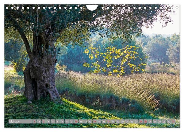 Produktbild: ISTRIEN (Wandkalender 2026 DIN A4 quer), CALVENDO Monatskalender