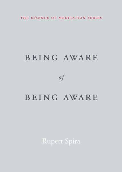 Being Aware of Being Aware