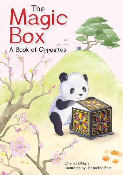 Produktbild: The Magic Box
